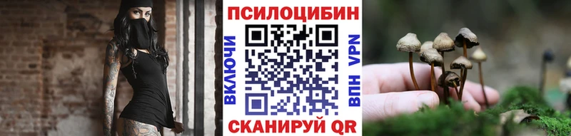 что такое   Новочеркасск  Галлюциногенные грибы MAGIC MUSHROOMS 