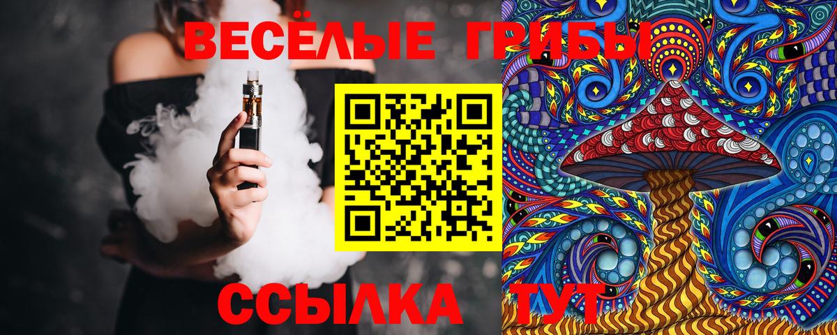 Галлюциногенные грибы Cubensis  купить наркотики сайты  Новочеркасск  Галлюциногенные грибы мухоморы  Вход с VPN 