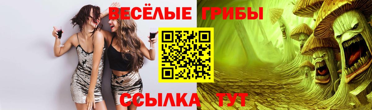 Псилоцибиновые грибы ЛСД Новочеркасск